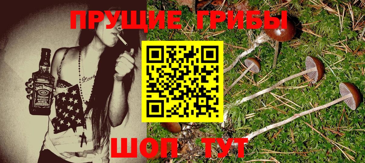 Галлюциногенные грибы прущие грибы Кизилюрт