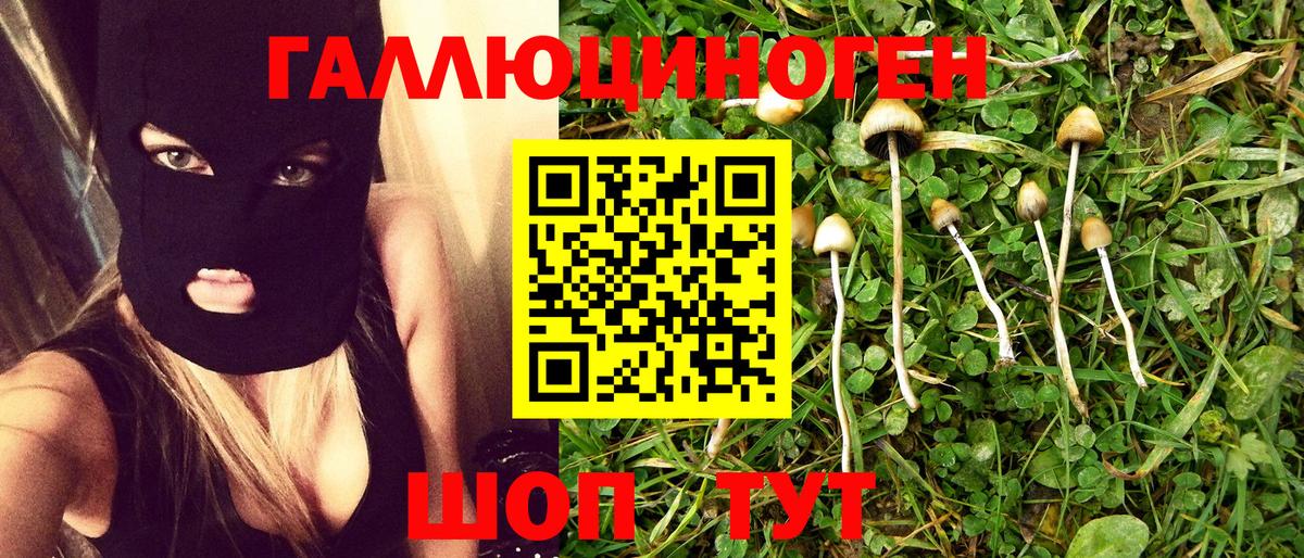 Галлюциногенные грибы Magic Shrooms  Галлюциногенные грибы Psilocybe  Вход с VPN  Кизилюрт 